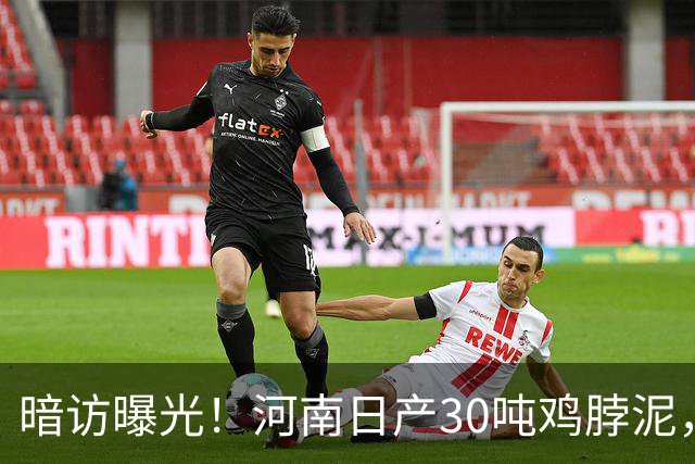 暗访曝光！河南日产30吨鸡脖泥，最后流向街头2元烤肠